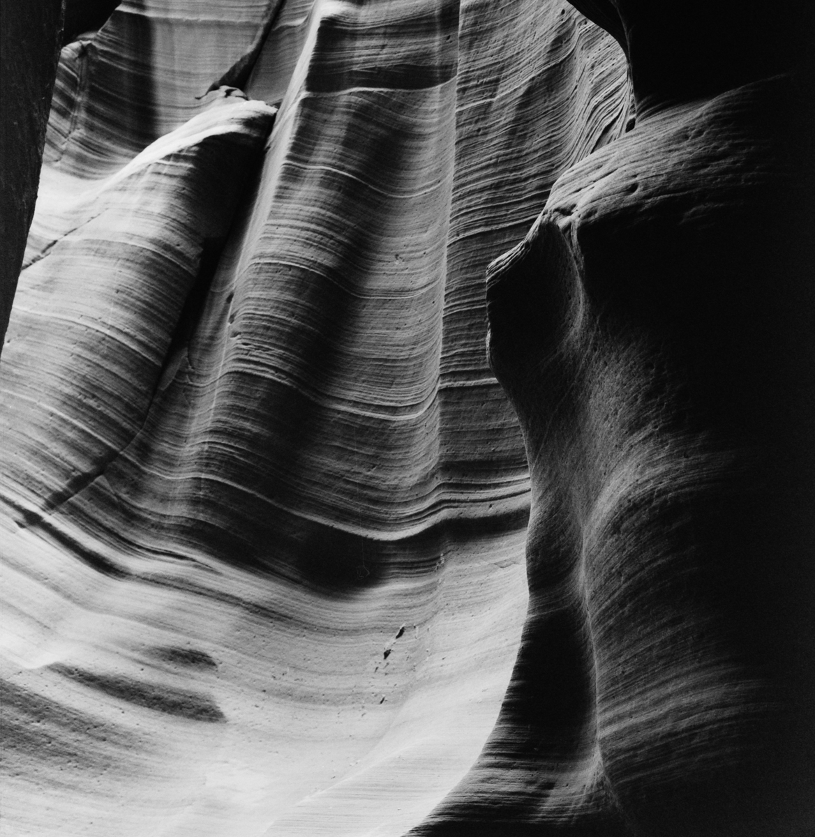 dancing curves