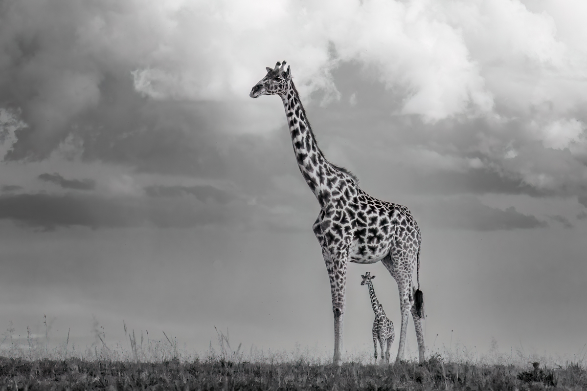 Towering!