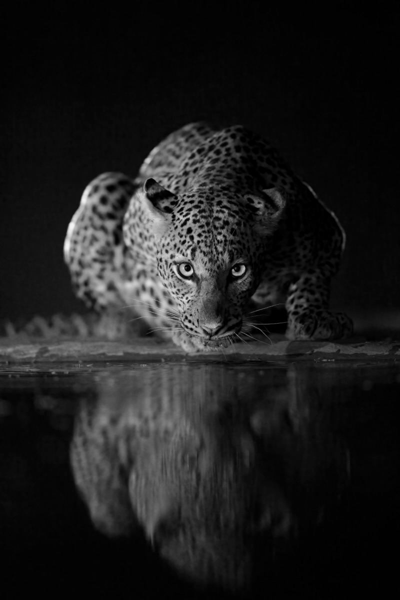 Reflections in the Night 2