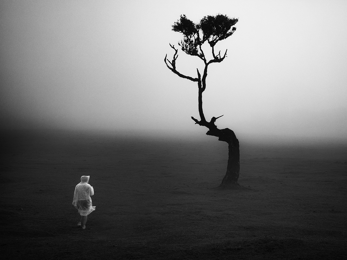 Stay Grounded