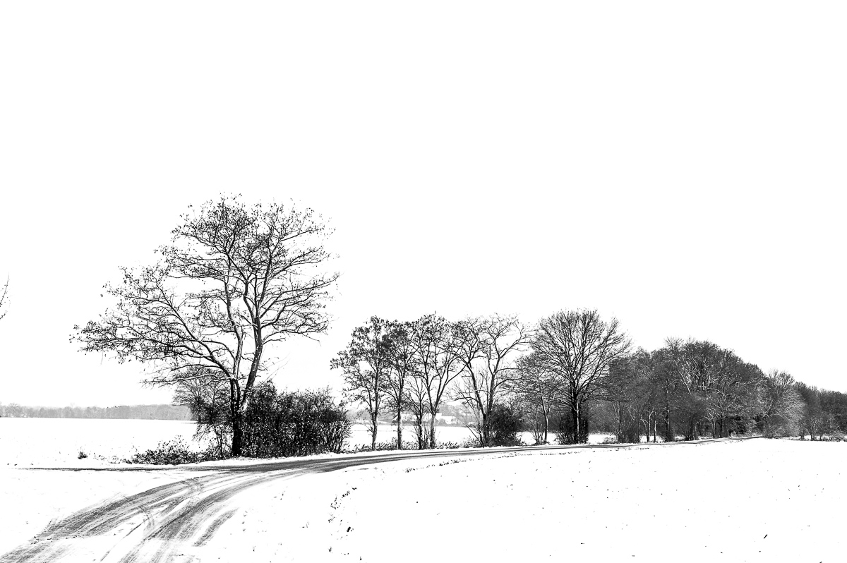 First snow
