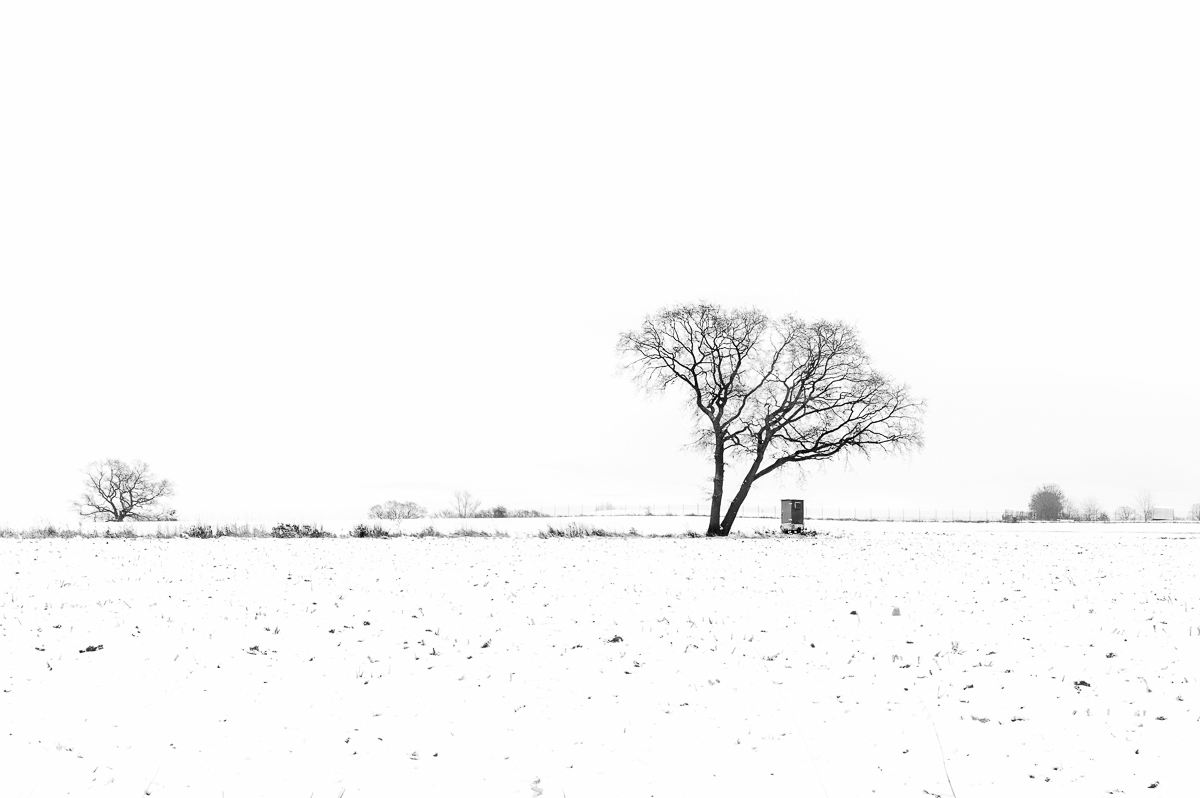First snow