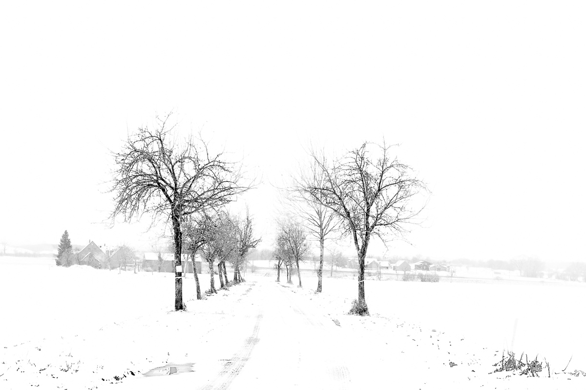 First snow