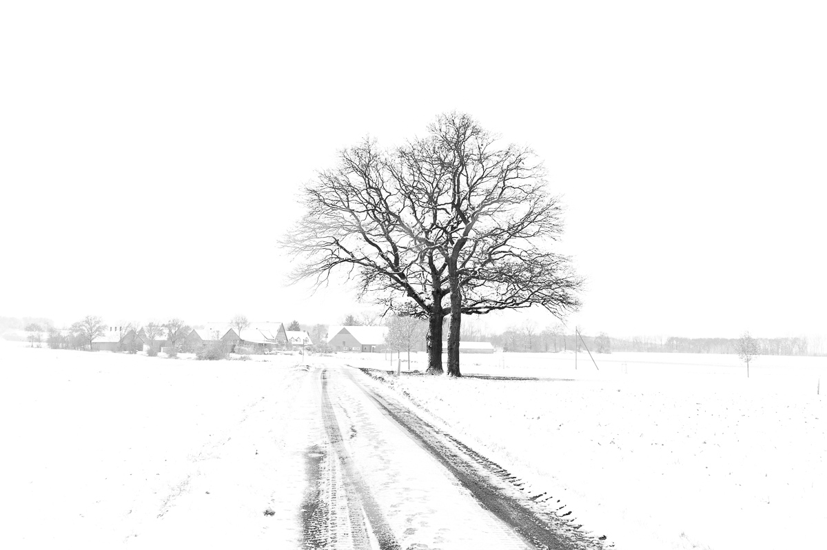 First snow