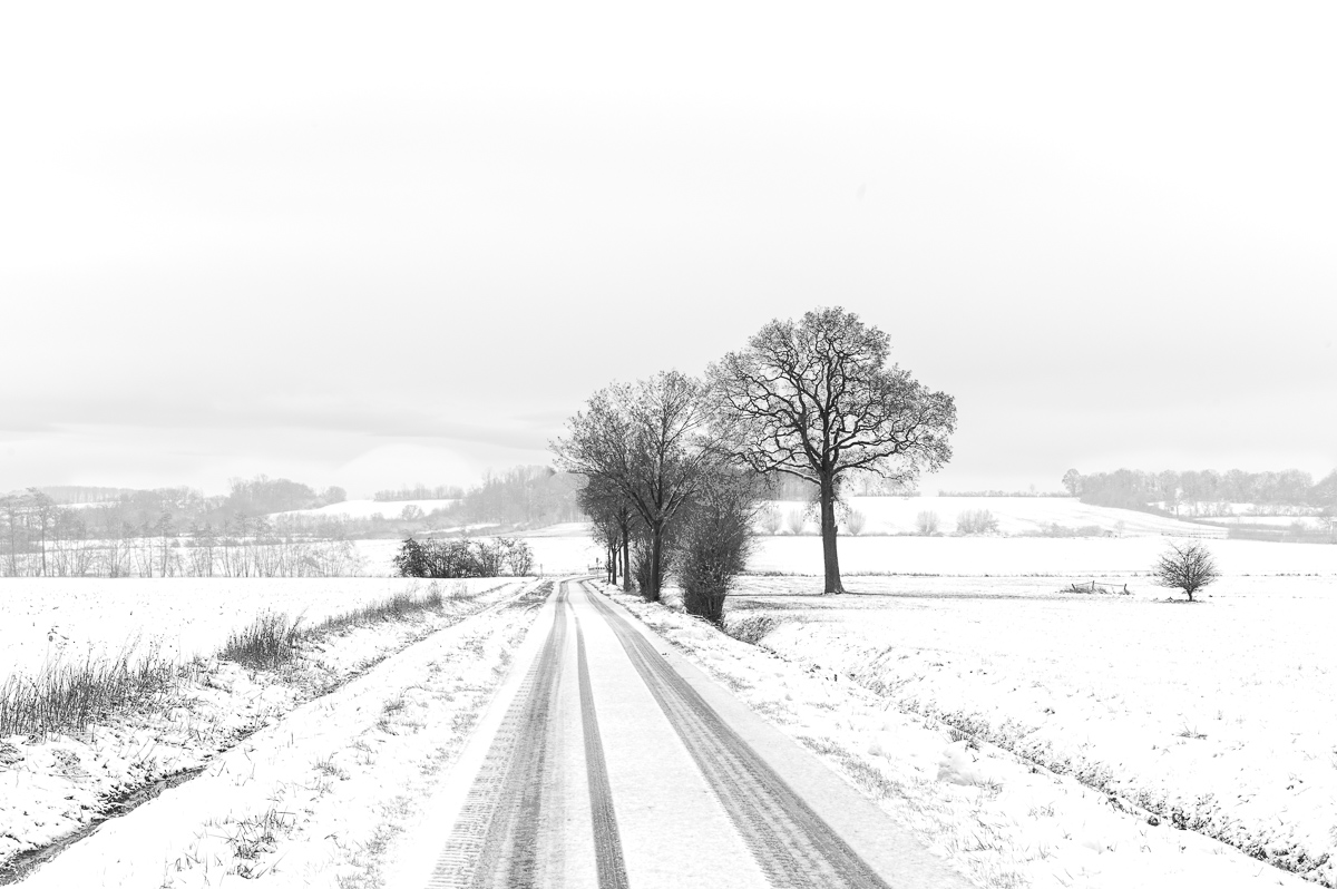 First snow