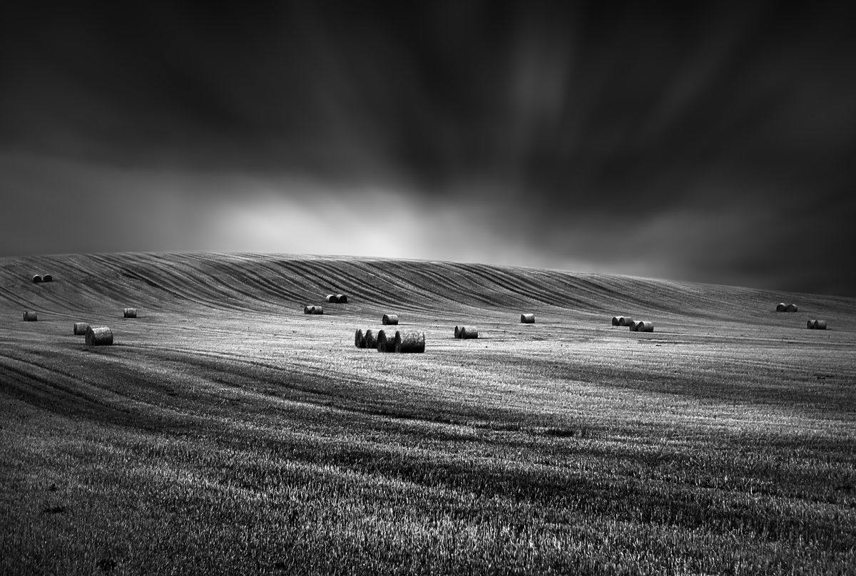 AFTER HARVEST