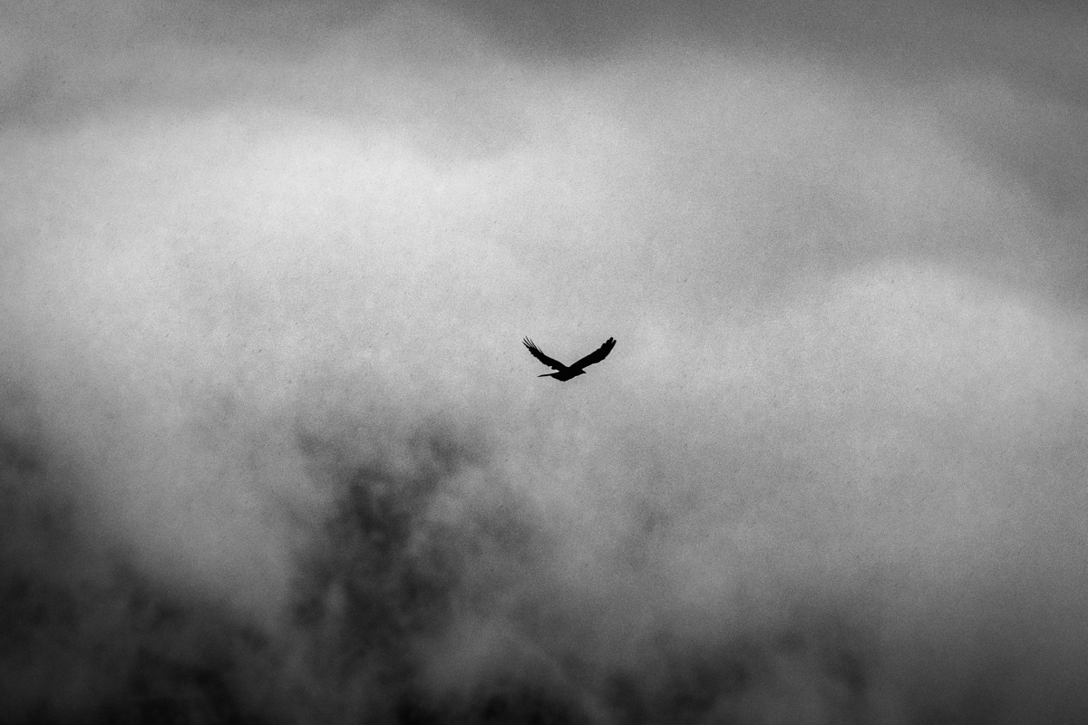 The serenity of the clouds