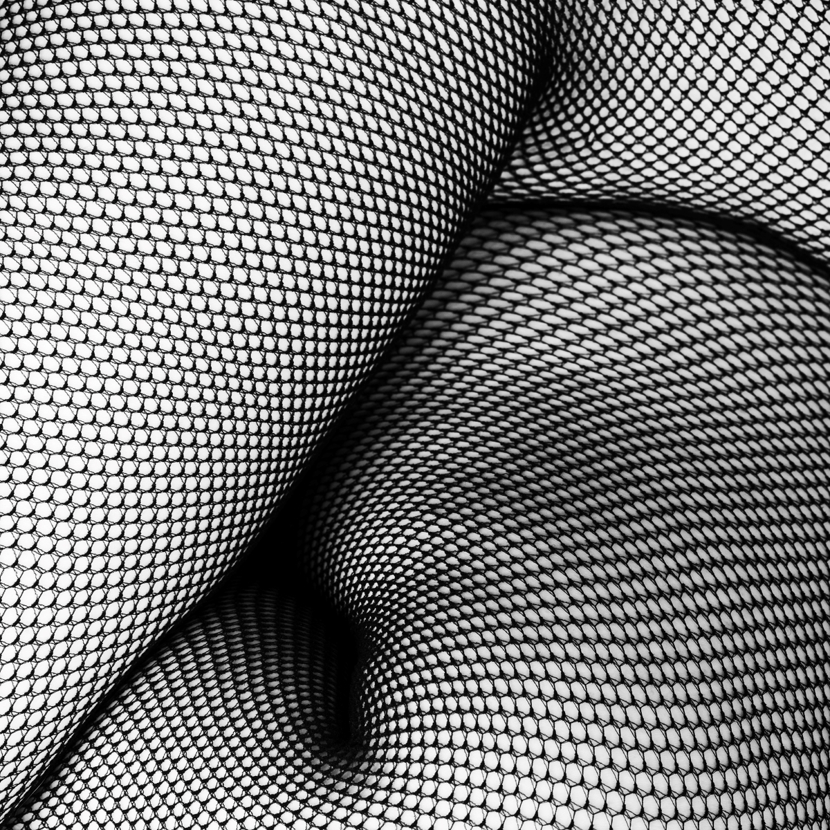 Study in Black and White