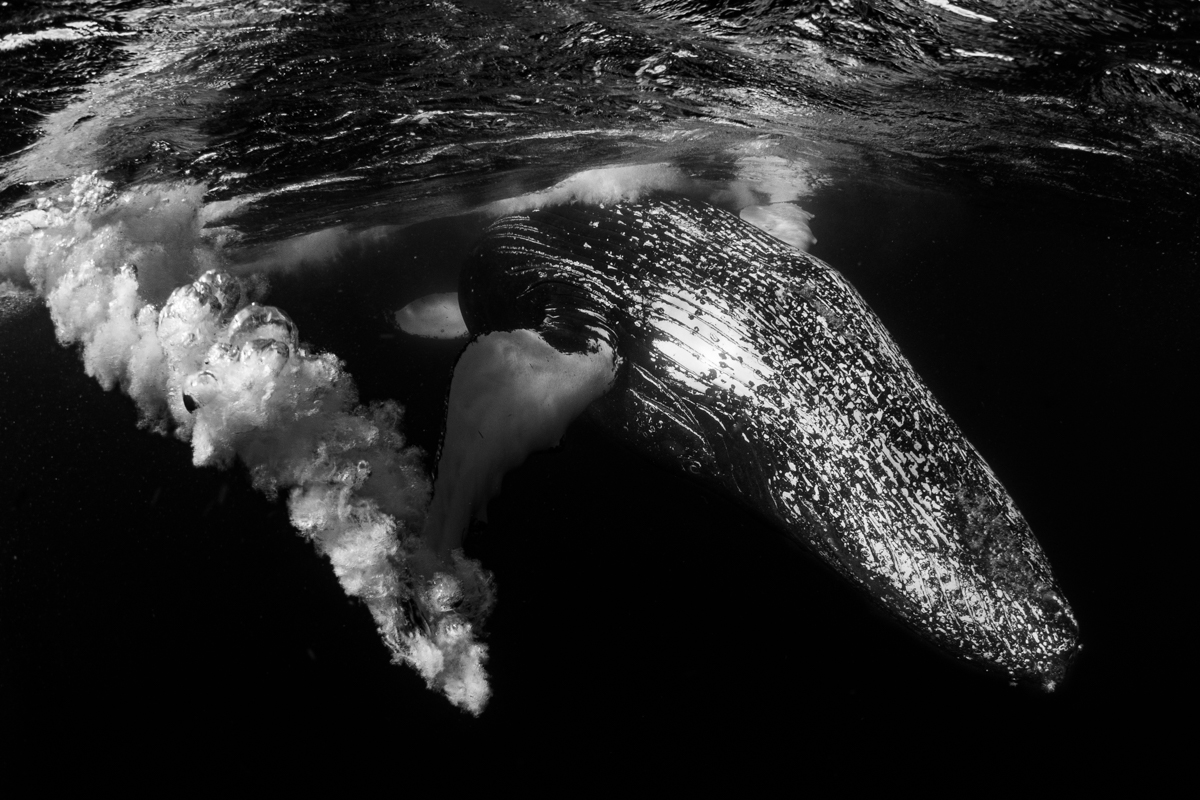 Ocean's contrasts