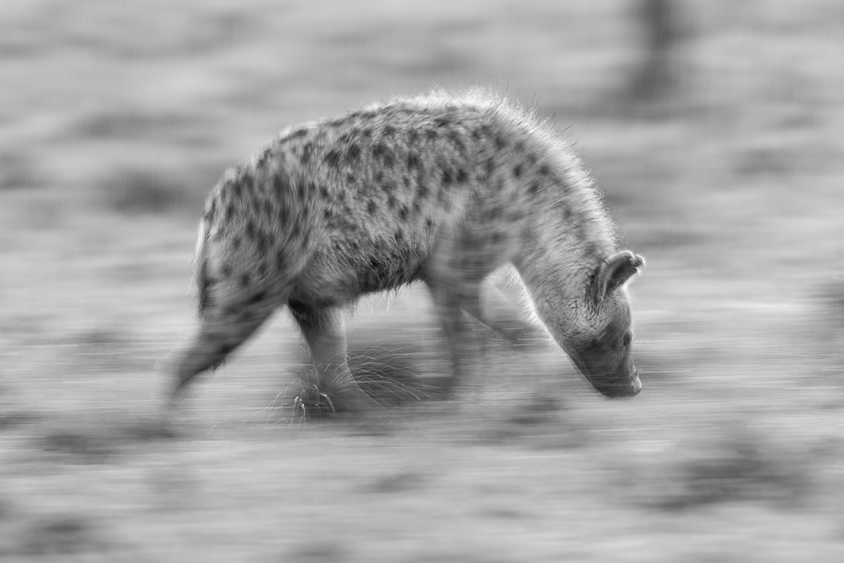 Motion