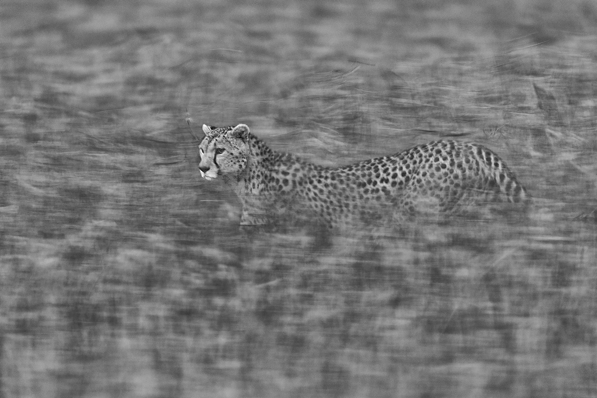 Motion