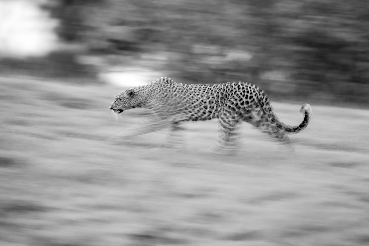 Motion