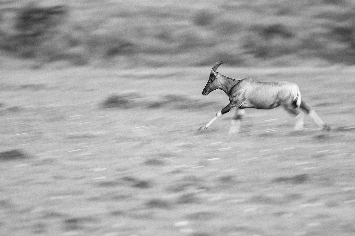 Motion