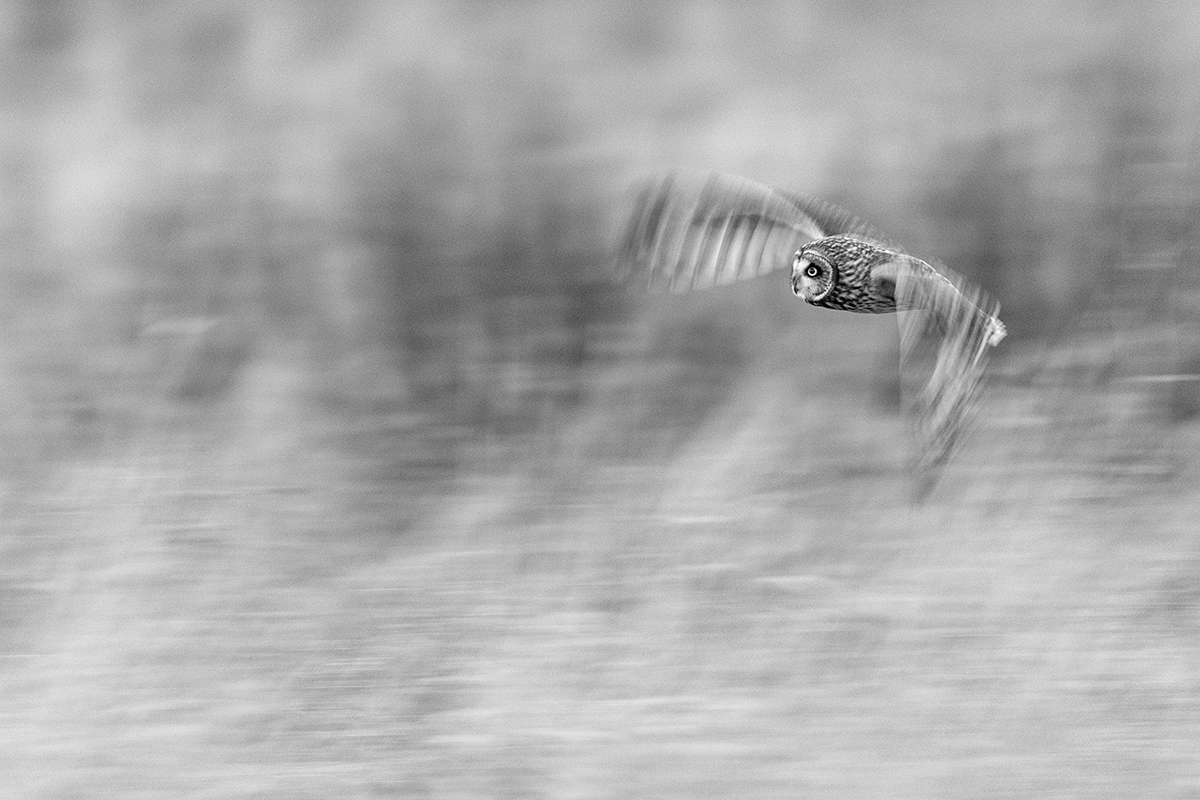 Motion