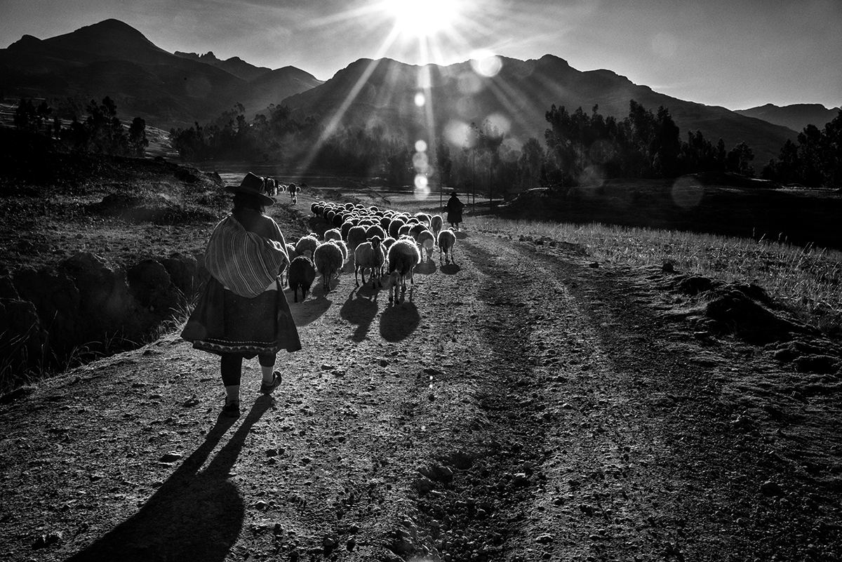 The Emptying of the Andes