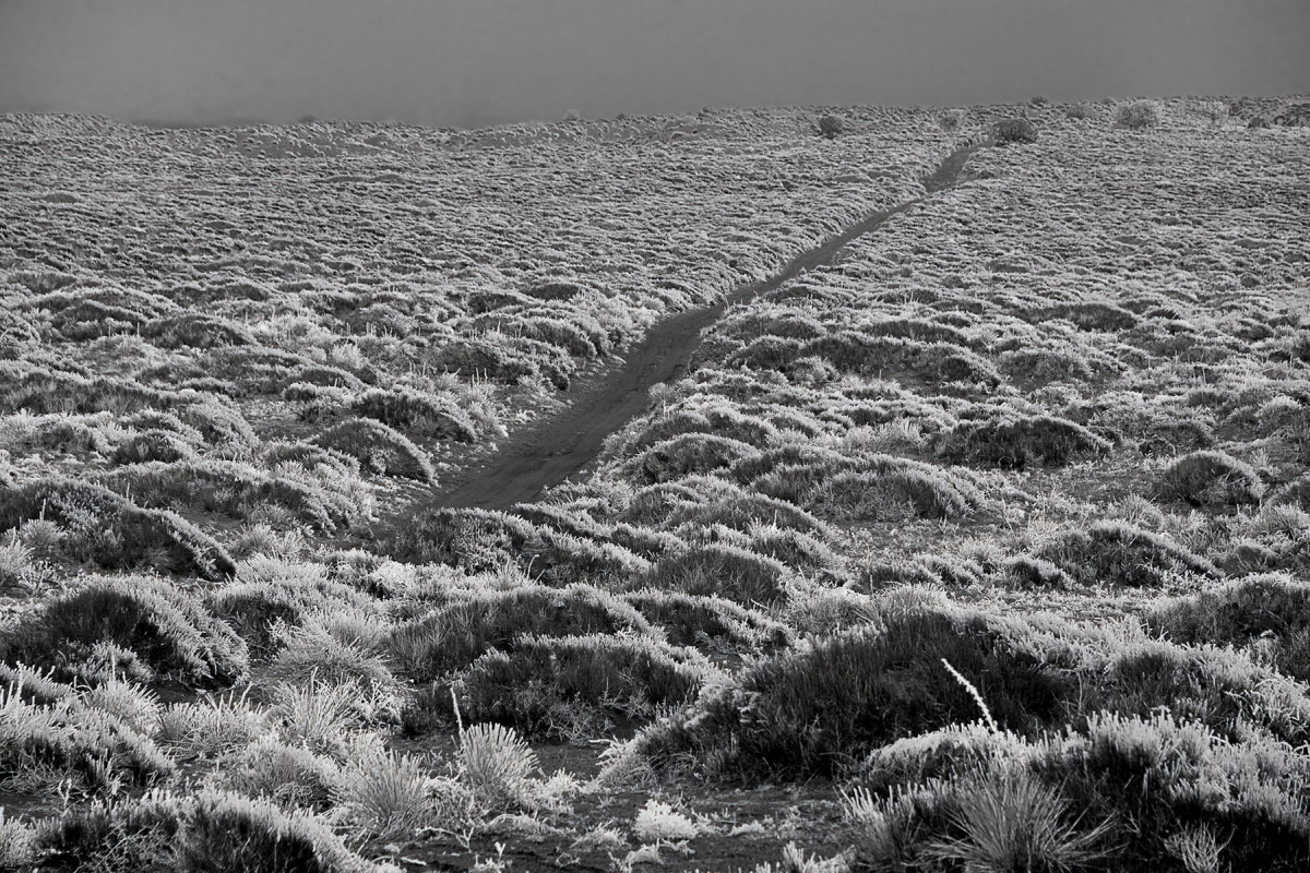 Terra Firma