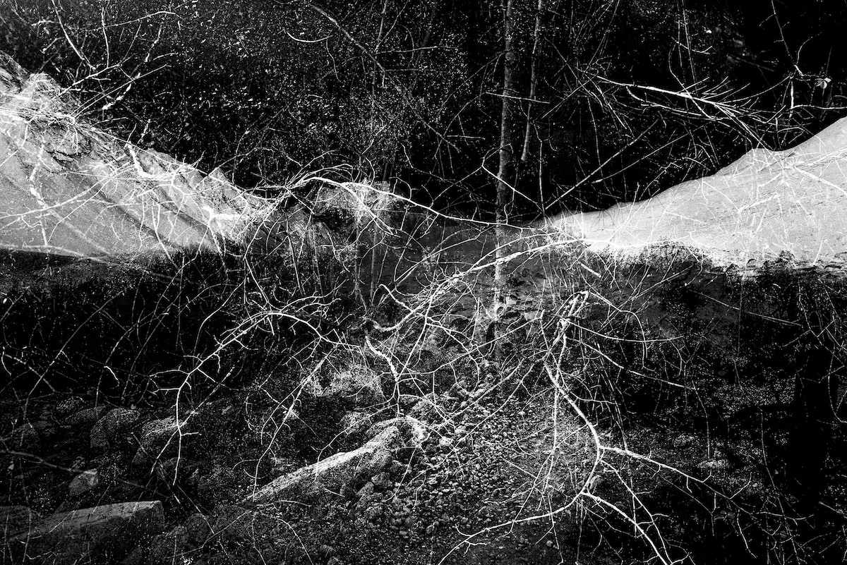 Più / Echo