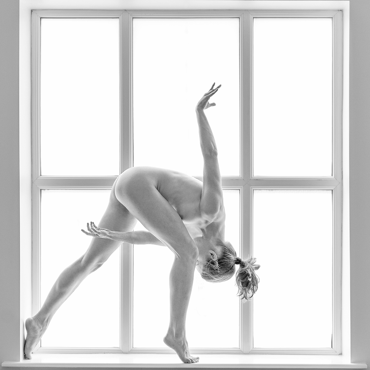 The Window
