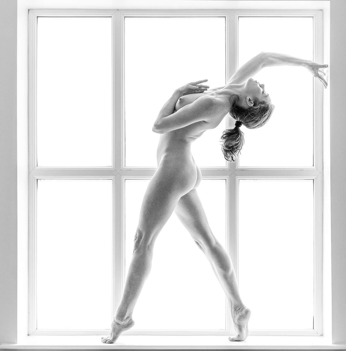 The Window