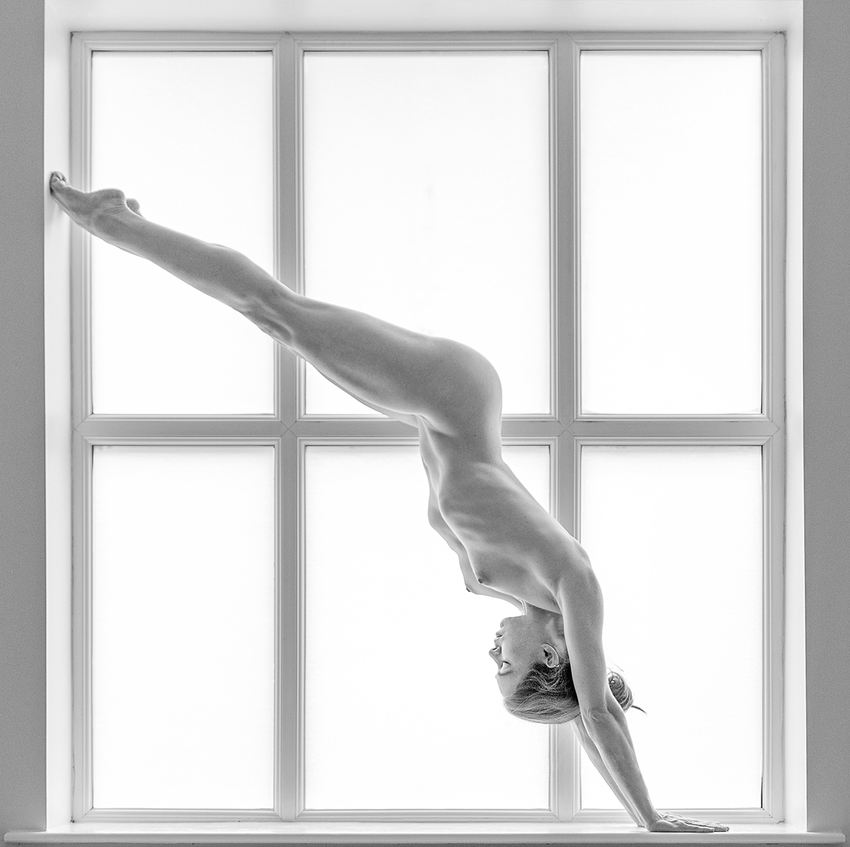 The Window