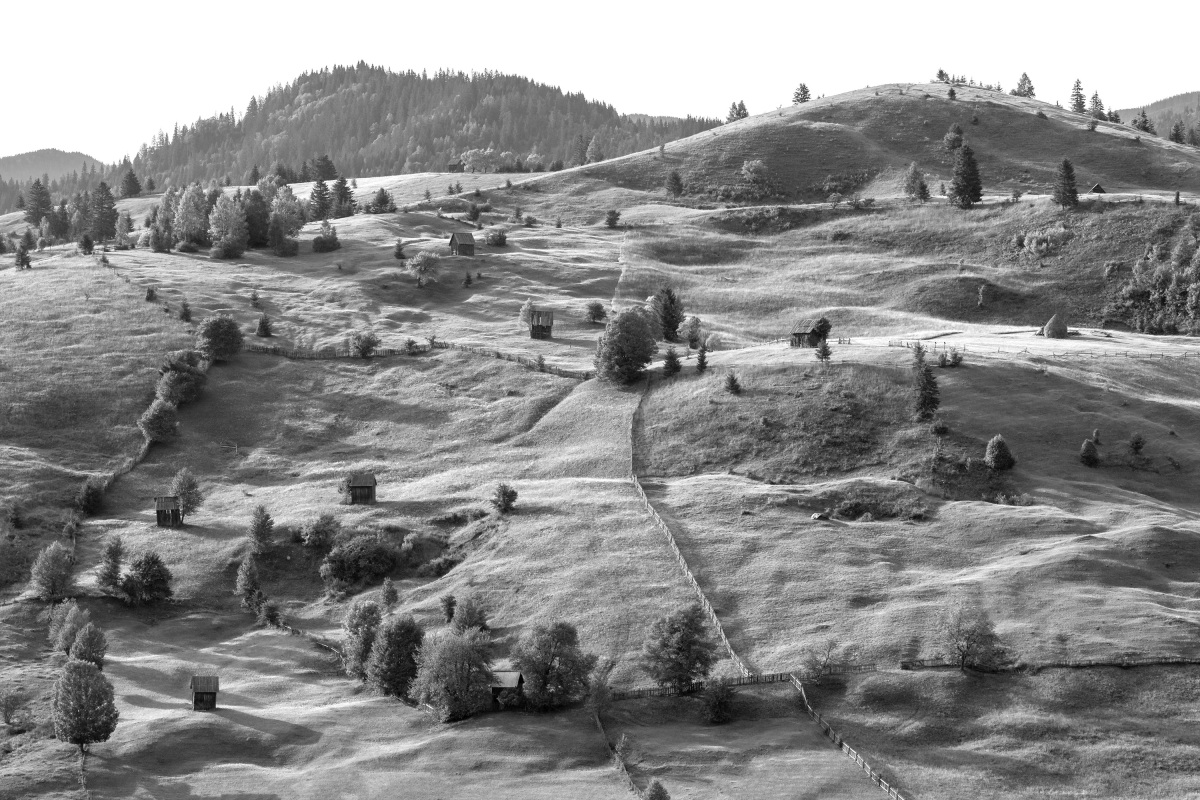 Bukovina - Romania