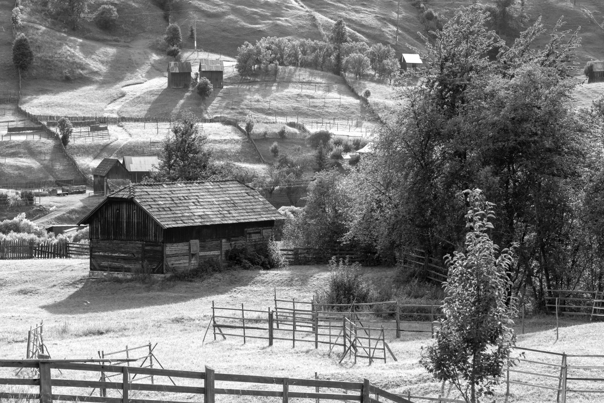 Bukovina - Romania