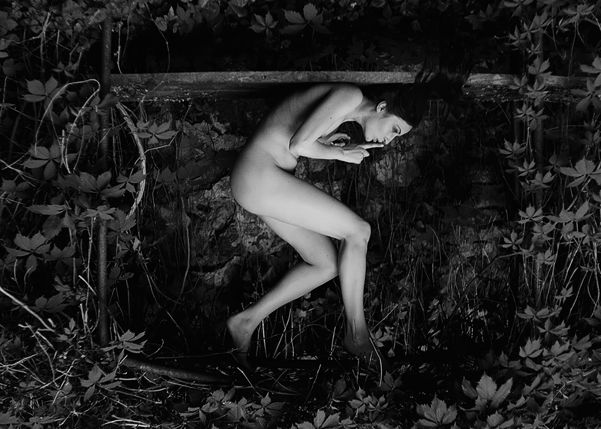 in the forest..