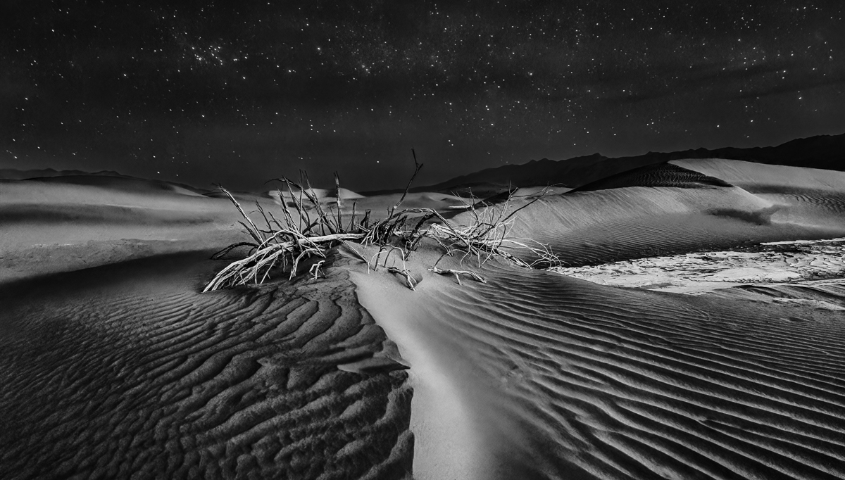 Desert Moonlight