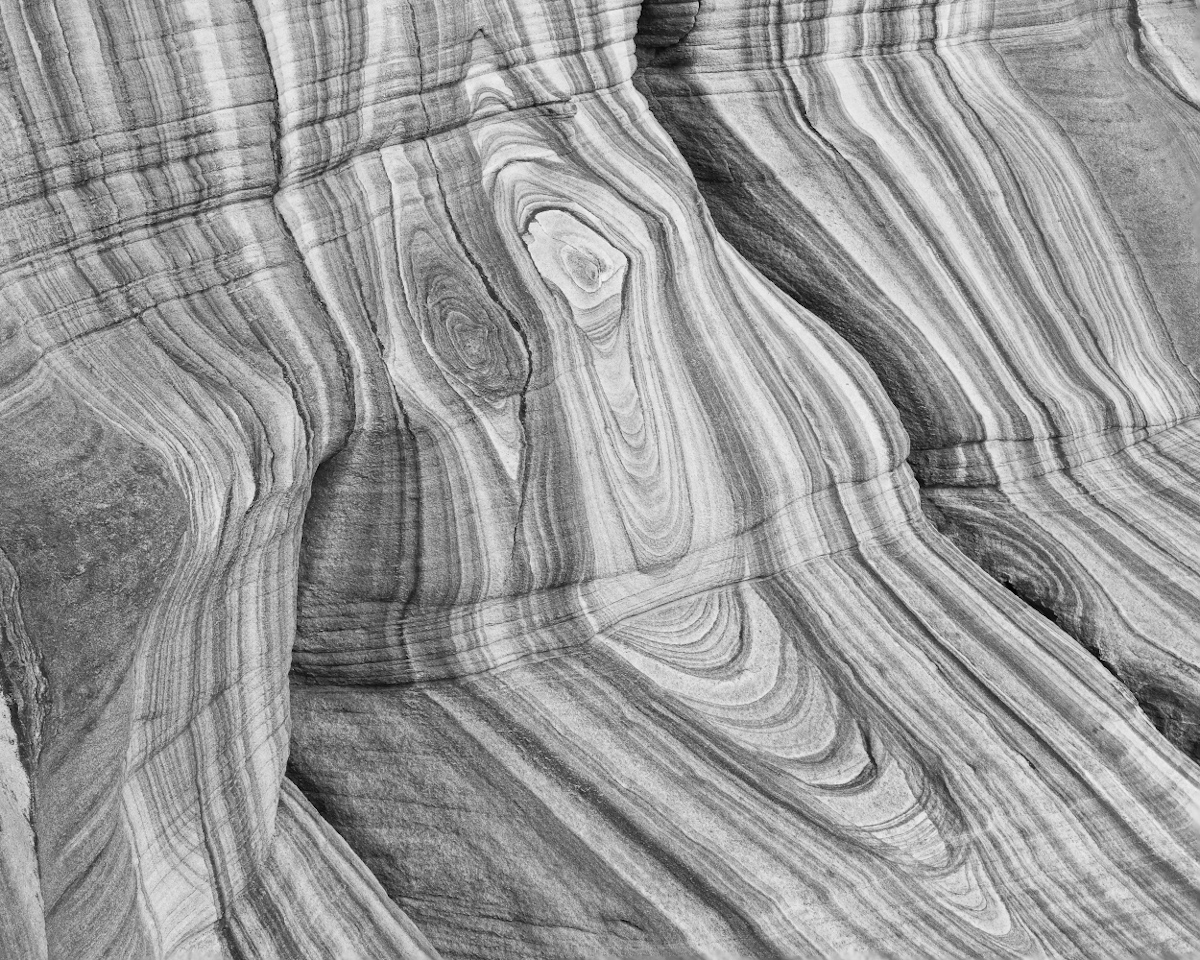 Tasmanian Textures