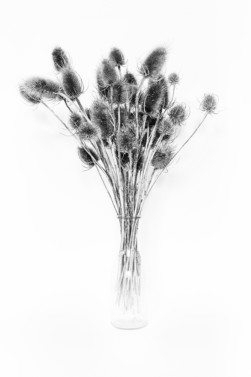 Still life, stool and 30 seconds  