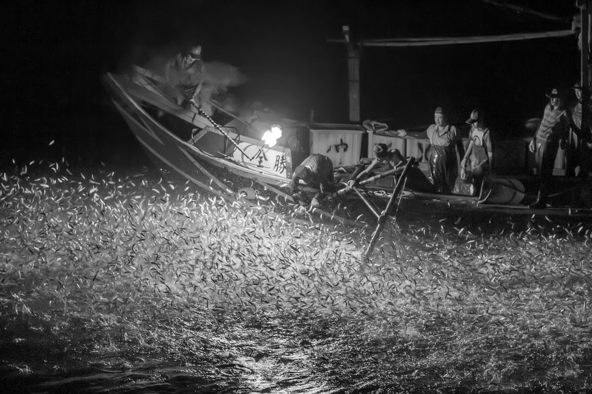 Disappearing fishing boat at night