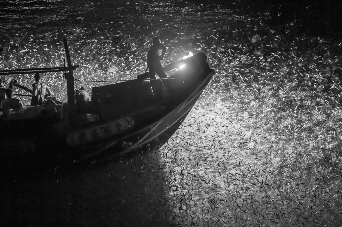 Disappearing fishing boat at night