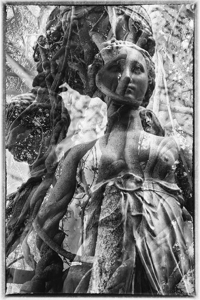  What is your substance, whereof are you made?     Shakespeare Sonnet 53
