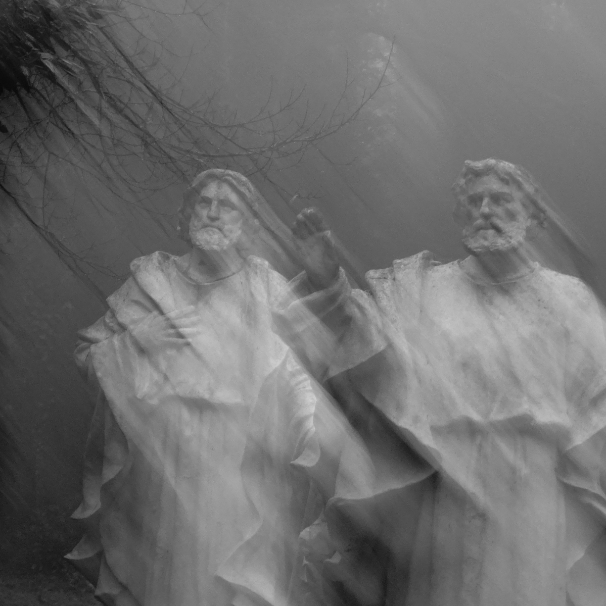 Statumanités