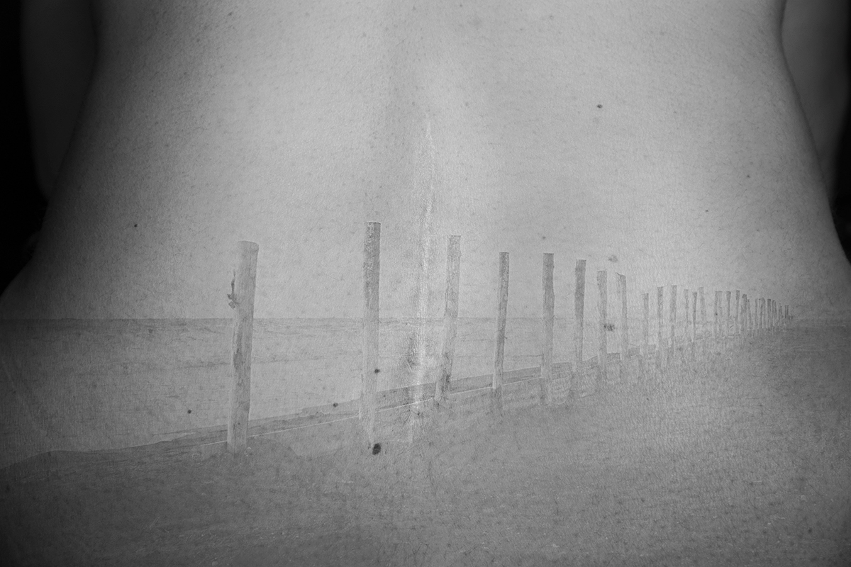 ADHERENCES AND INDELIBLE SIGNS