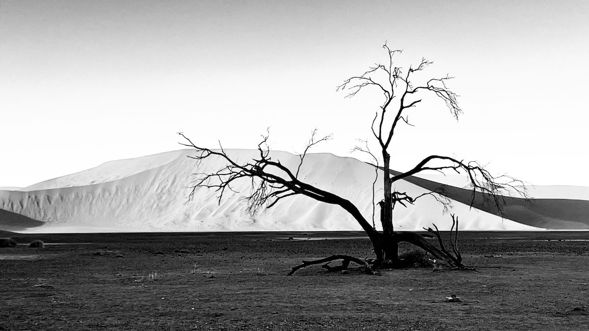 The sand dunes of the Namib desert at Sossusvlei