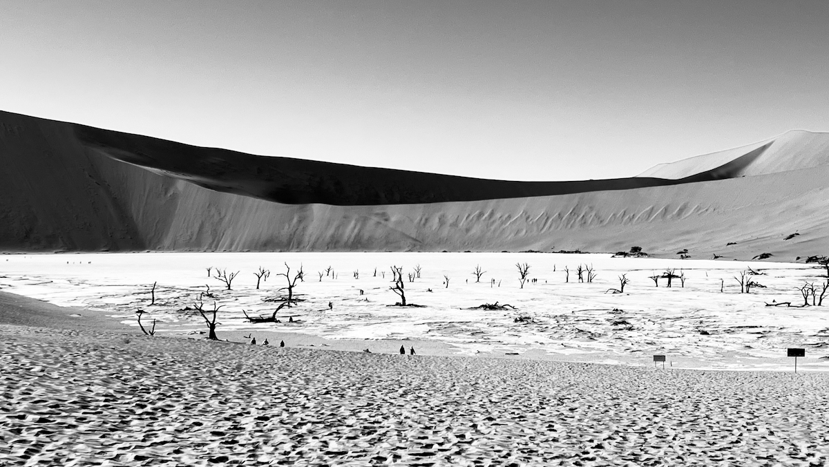 The sand dunes of the Namib desert at Sossusvlei