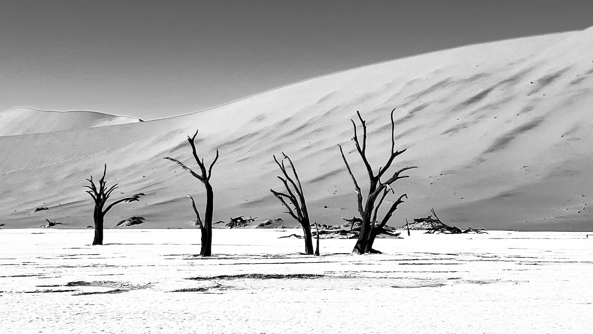 The sand dunes of the Namib desert at Sossusvlei