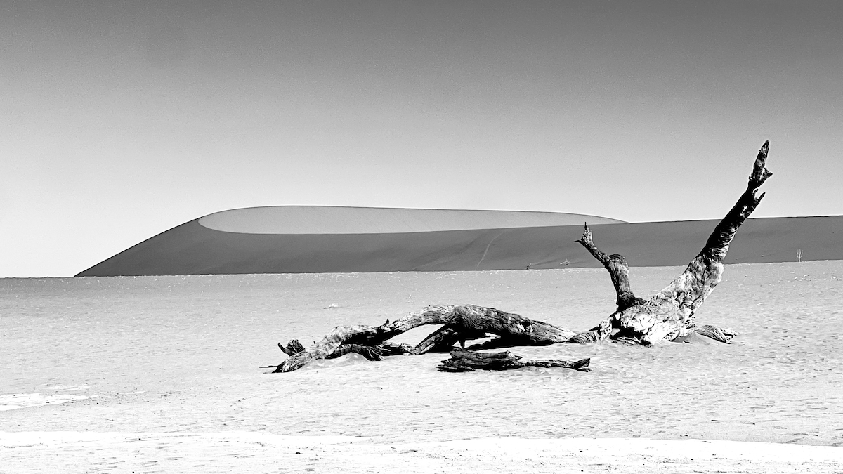The sand dunes of the Namib desert at Sossusvlei