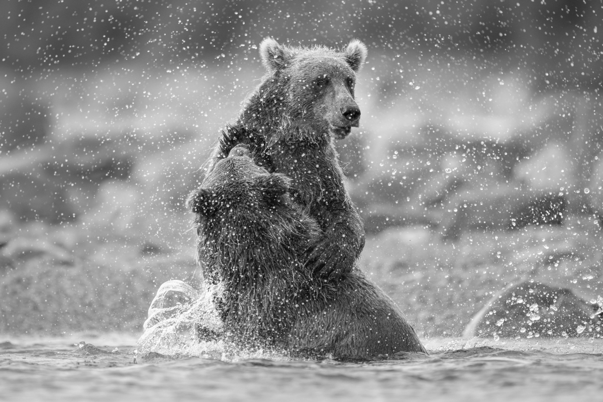 Pride of Alaska