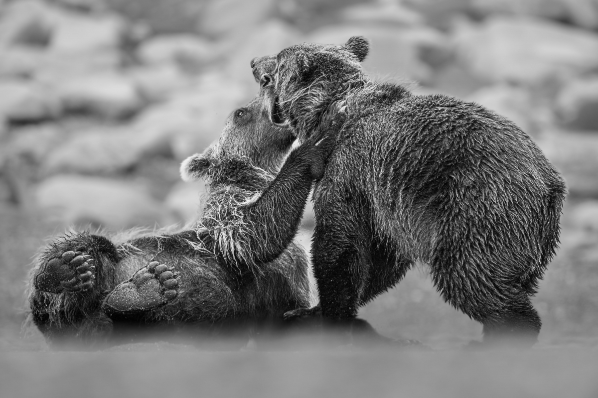 Pride of Alaska
