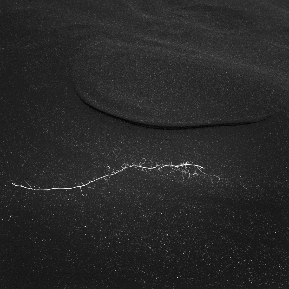 Icelandic black sand landscapes 