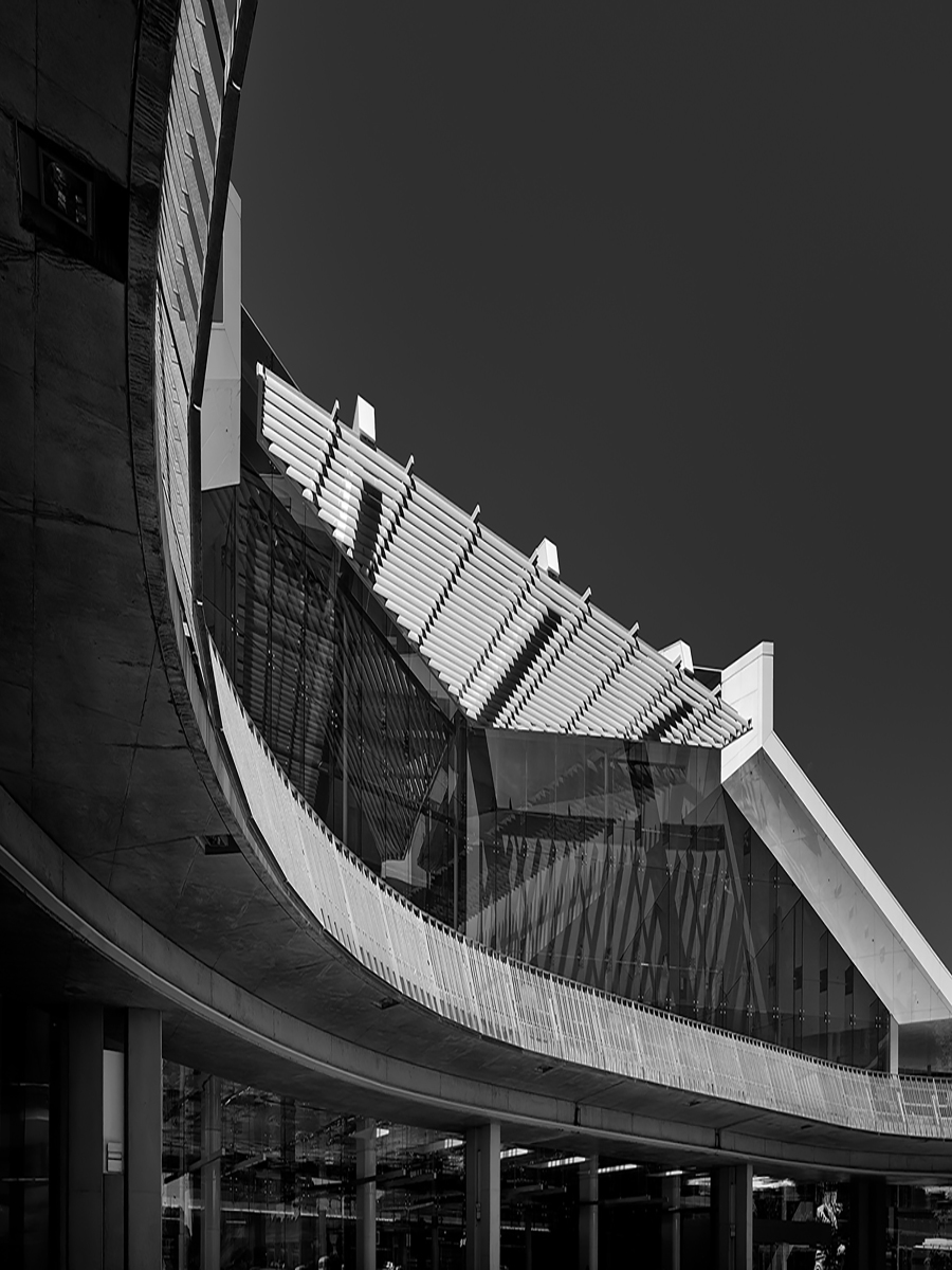 Monochrome Architectural Elegance