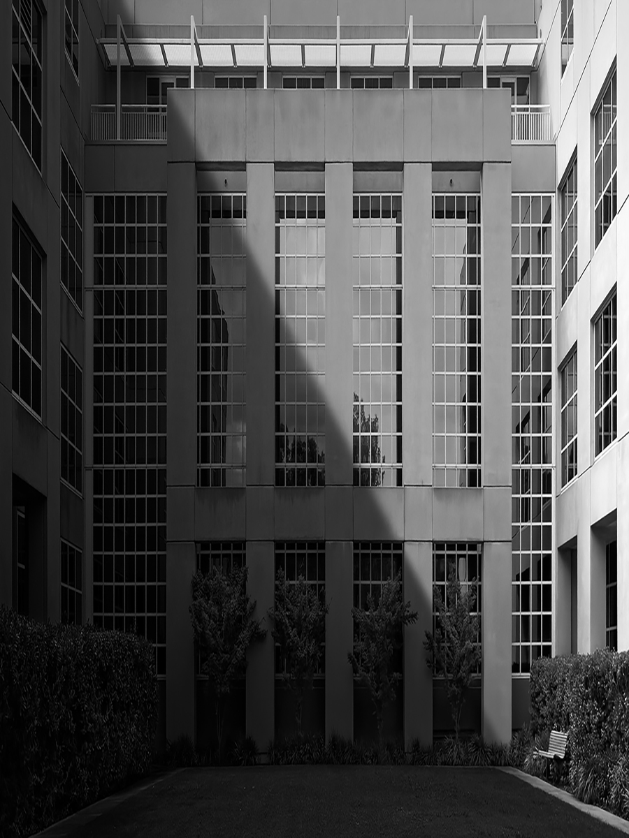 Monochrome Architectural Elegance