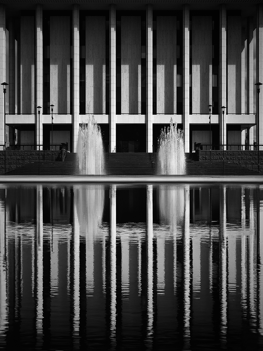 Monochrome Architectural Elegance