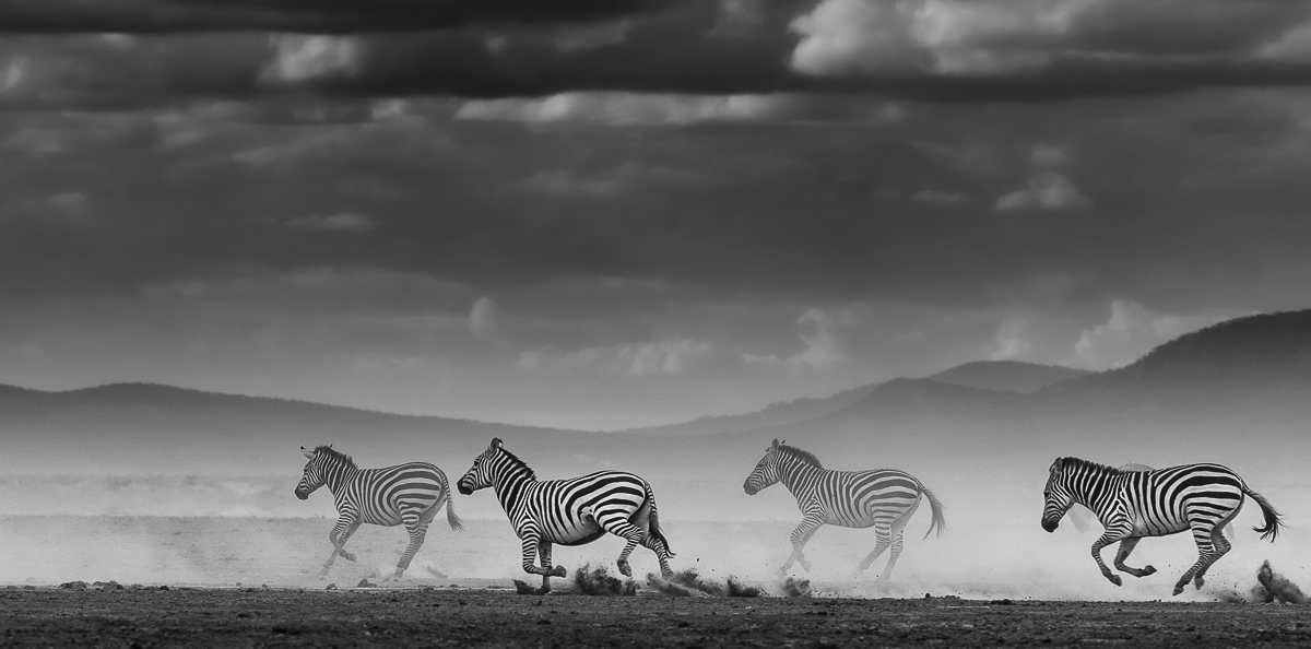 Magic Amboseli