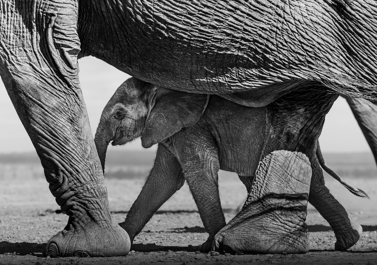 Sense of protection