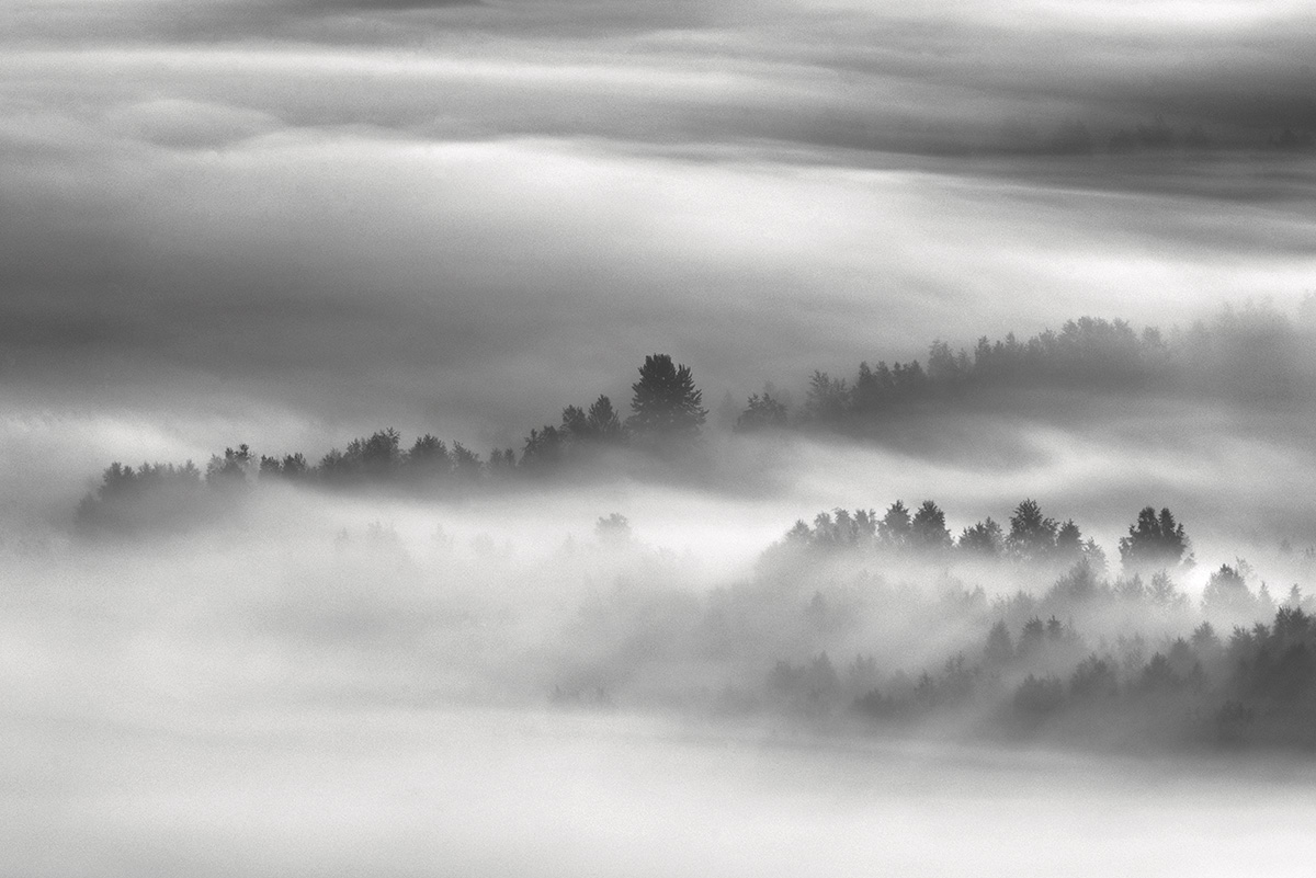 Dance of light and fog