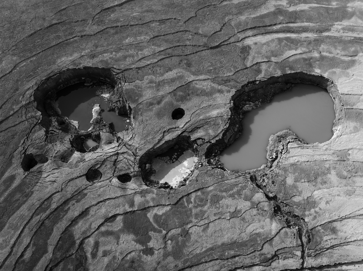 Dead Land