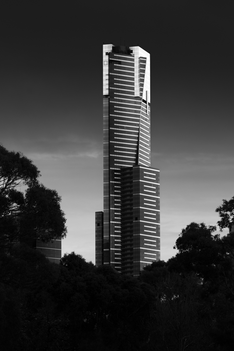 Tall Timber